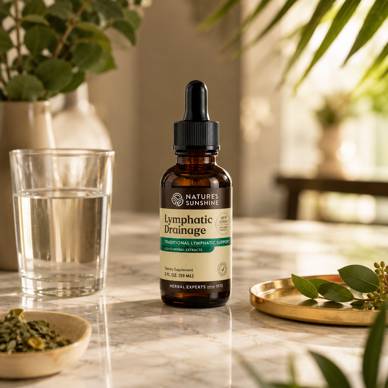 Lymphatic Drainage Drenaje Linfatico