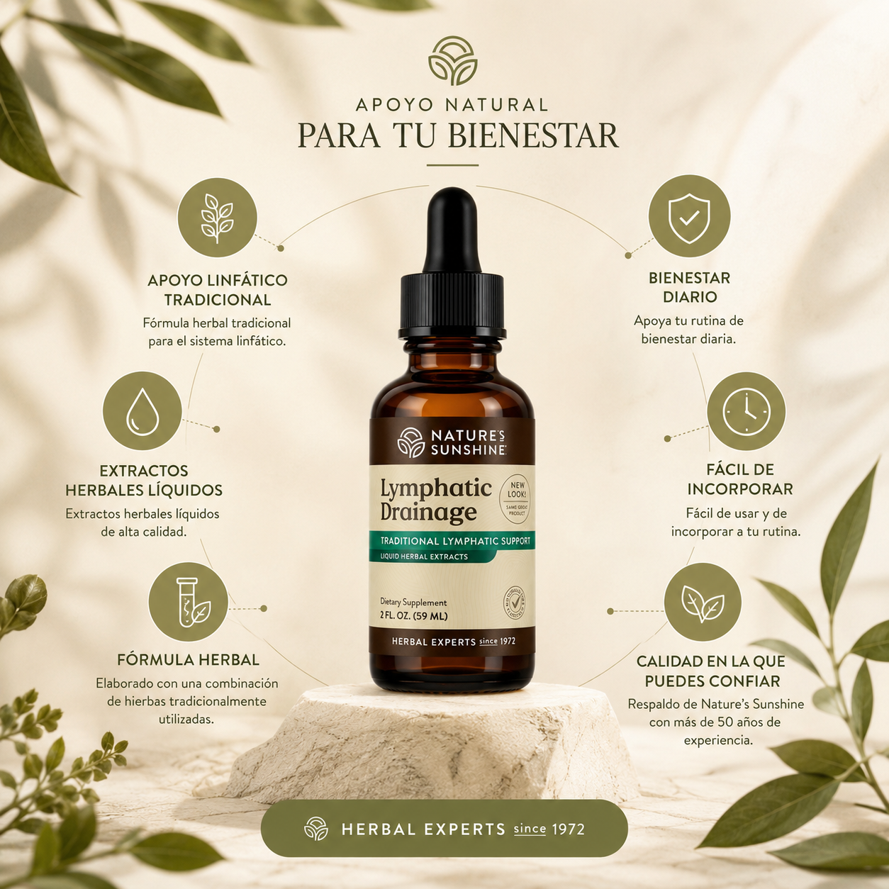 Lymphatic Drainage Drenaje Linfatico